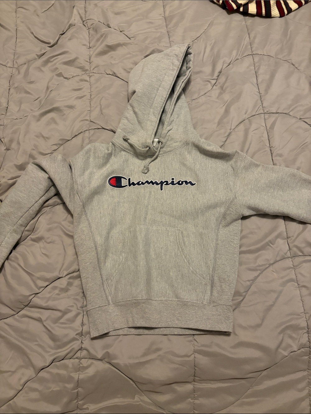 Champion Kids Gray Hoodie with Logo
